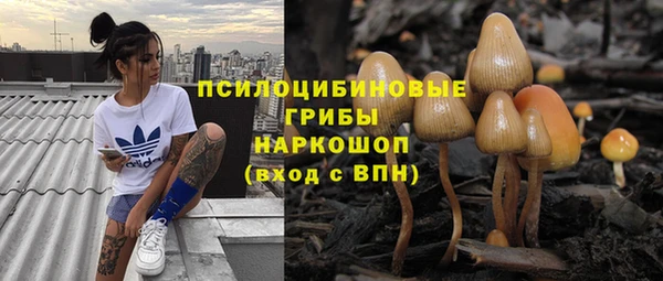 a pvp Абаза